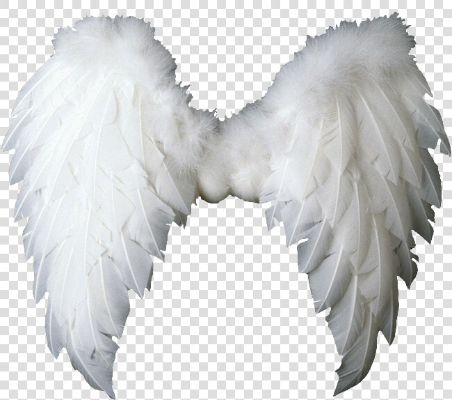  angelwings  angels  angel  wings  feathers  fly  costume   Angel Wings Png Victoria Secret  Transparent PngTransparent PNG