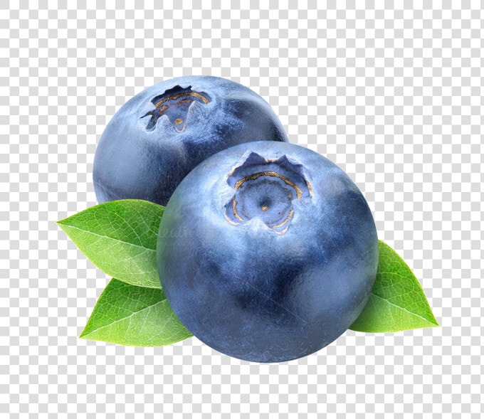 Download Blueberry Png Photos   Transparent Background Blueberry Clipart  Png DownloadTransparent PNG