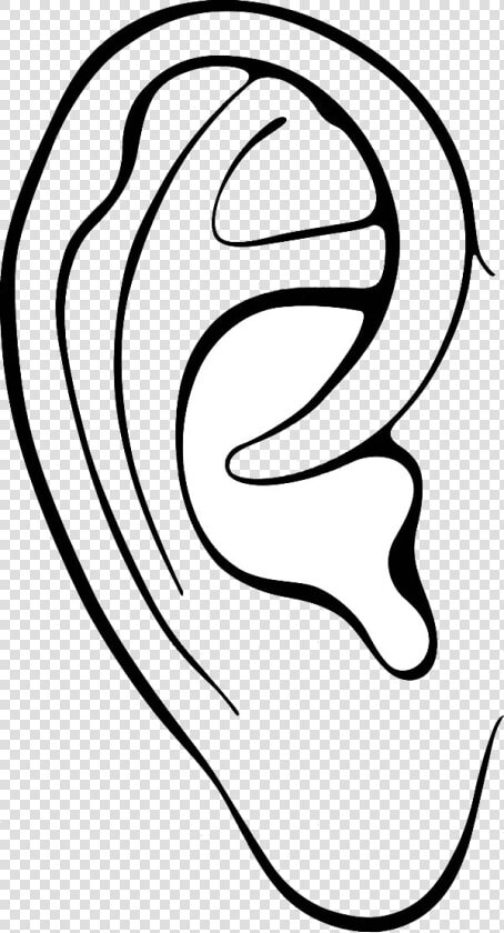 Ear Ears Clipart Outline Frames Illustrations Hd Images   Colouring Pages Of Ear  HD Png DownloadTransparent PNG