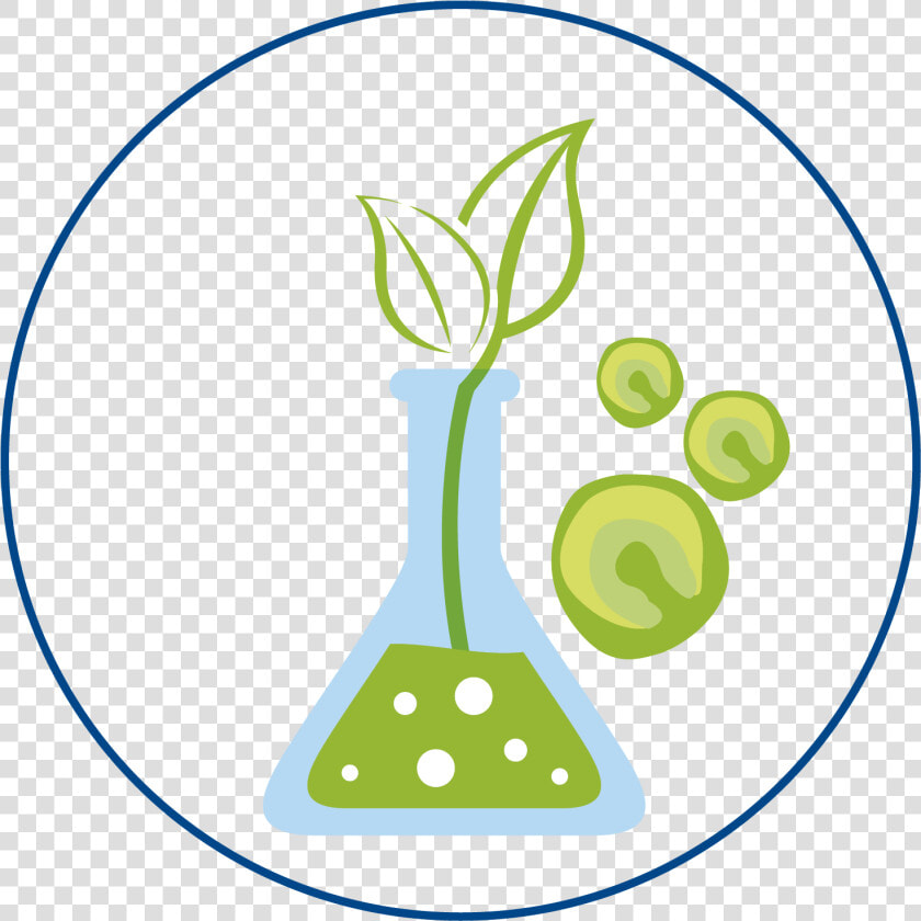 Algae Clipart Microalgae  HD Png DownloadTransparent PNG