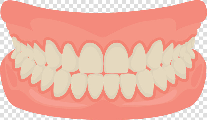 Dentures   Mouth Teeth Cartoon  HD Png DownloadTransparent PNG