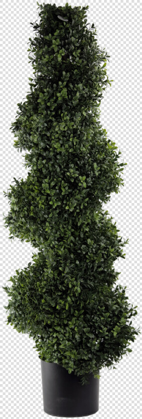 Transparent Topiary Png   Hedge  Png DownloadTransparent PNG