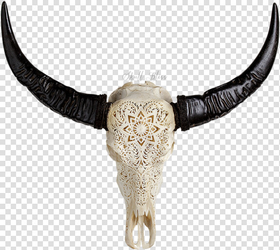 Cattle Horn Animal Skulls Water Buffalo   Engraved Buffalo Skull  HD Png DownloadTransparent PNG