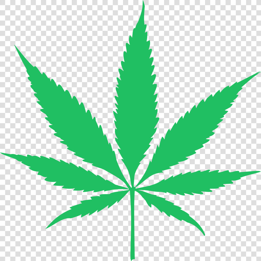 Canabis Leaf Vector   Transparent Background Cannabis Leaf Png  Png DownloadTransparent PNG