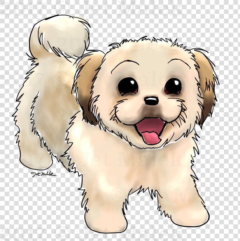 Brown Shih Tzu Cartoon  HD Png DownloadTransparent PNG