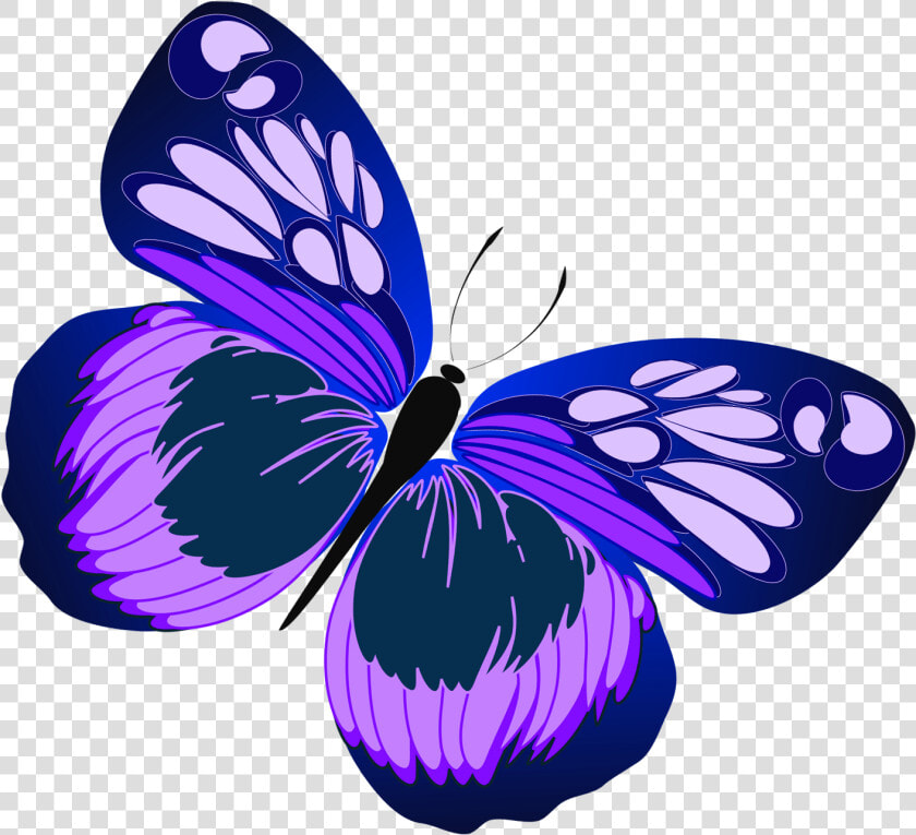 Blue Pink Purple Butterflies  HD Png DownloadTransparent PNG