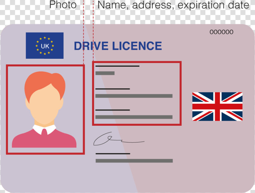 Driving Licence   History Memes Latin America  HD Png DownloadTransparent PNG