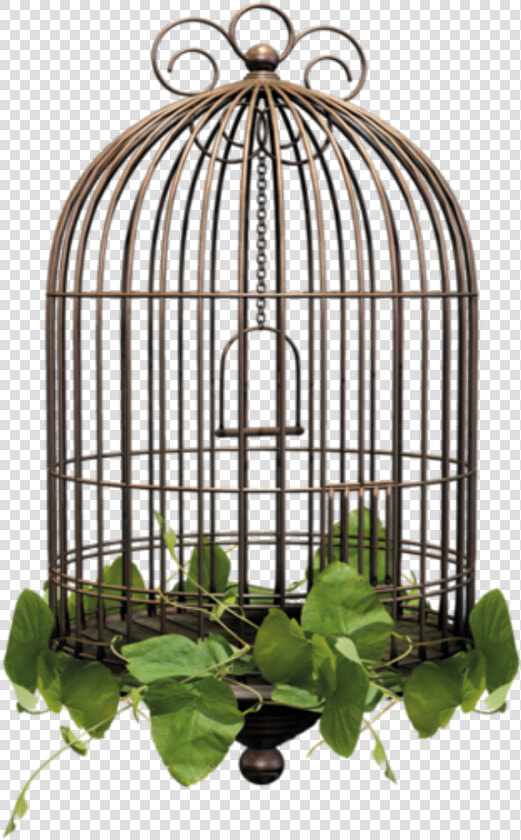  birdcage  cage   Bird Cage Transparent Background  HD Png DownloadTransparent PNG