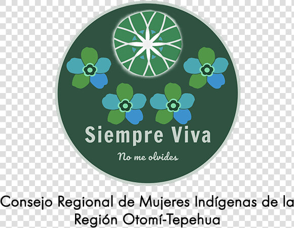 Siempre Viva Regional Organization Copy 600pixels Psydeh   Circle  HD Png DownloadTransparent PNG