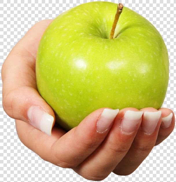 Apple  Fruit  Healthy  Hand  Offer  Grannysmith   Apple In Hand  HD Png DownloadTransparent PNG