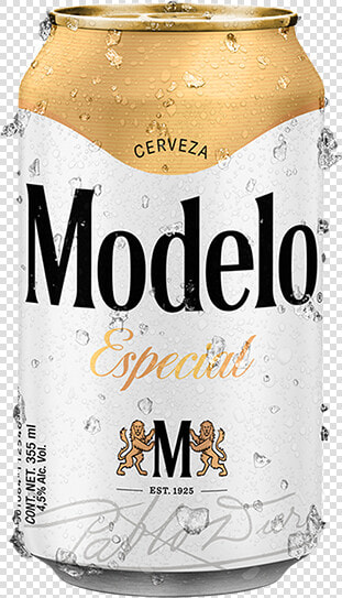 Modelo Especial  HD Png DownloadTransparent PNG