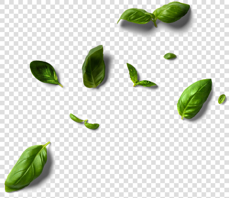 Brussels Sprout  HD Png DownloadTransparent PNG