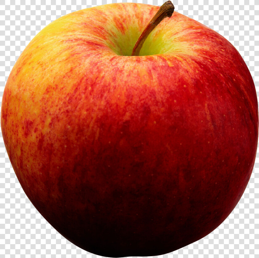 Would Win Apple Doctor  Png Download   Realistic Apples Clipart  Transparent PngTransparent PNG