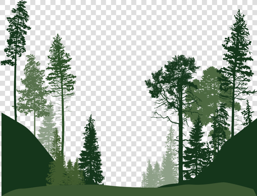 Transparent Forest Clipart   Forest Trees Silhouette Png  Png DownloadTransparent PNG