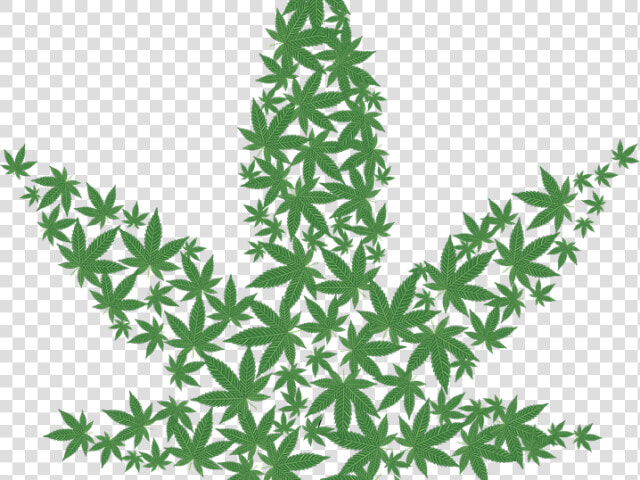 Weed Clipart Illegal Drug   Marijuana Clipart  HD Png DownloadTransparent PNG