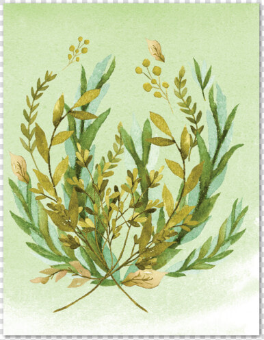 Green Leaves Note Card data caption class   Illustration  HD Png DownloadTransparent PNG