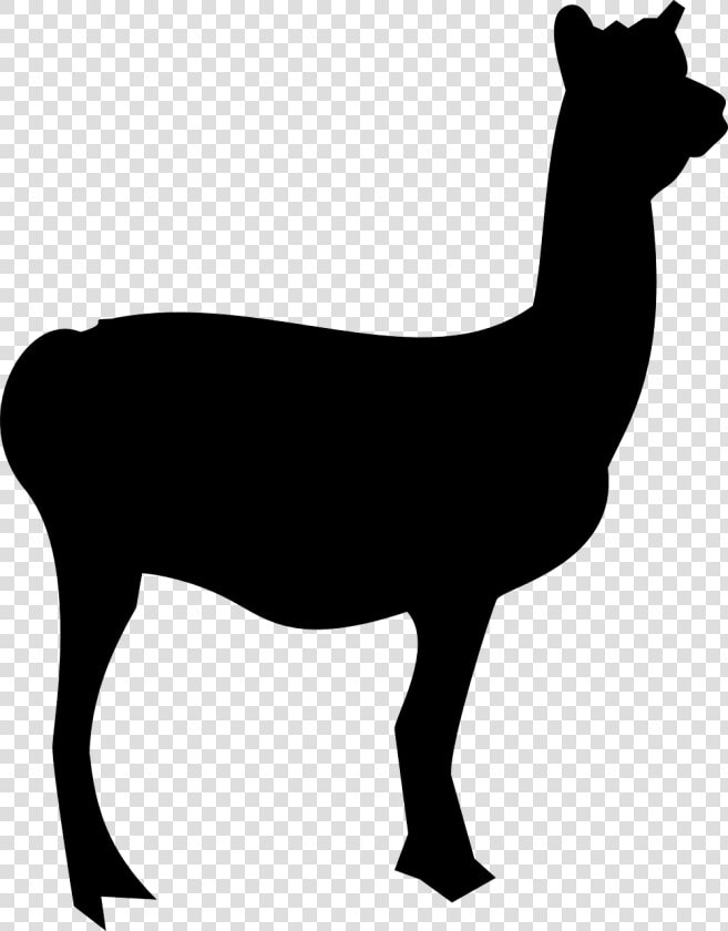 Llama  Mammal  Animal  Silhouette   Llama Outline  HD Png DownloadTransparent PNG