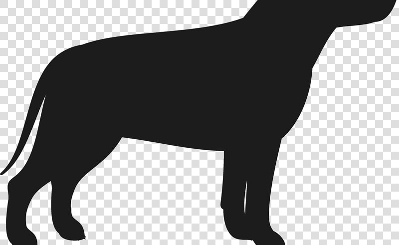 Pitbull Dog Silhouette Com Free For Personal Use   Guard Dog  HD Png DownloadTransparent PNG