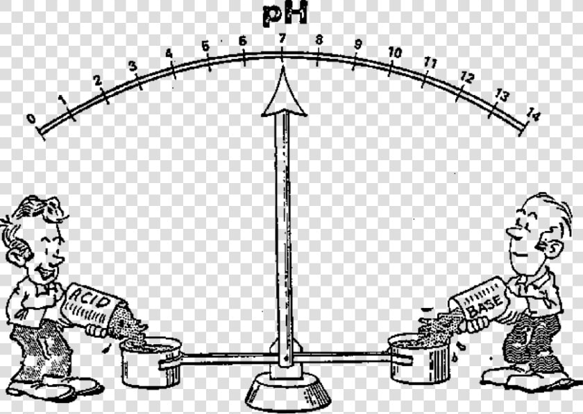 Application Of Acid Base Equilibrium  HD Png DownloadTransparent PNG