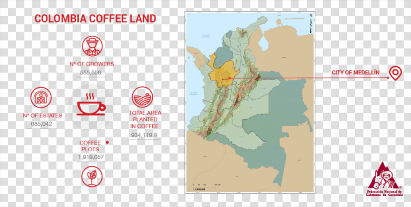 Stats About Coffee Production In Colombia   Coffee Grown In Colombia  HD Png DownloadTransparent PNG