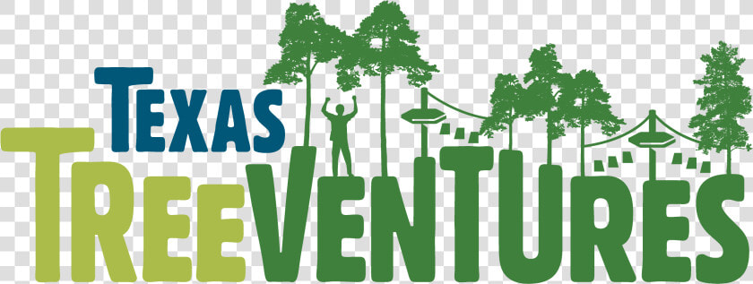 Texas Tree Ventures  HD Png DownloadTransparent PNG