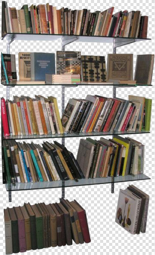  moodboard  books  bookshelf  shelves  school  libary   Niche Meme Aesthetic Png  Transparent PngTransparent PNG