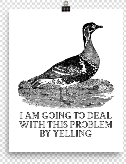 Yelling Poster Srcset Data   Effin Birds Yelling  HD Png DownloadTransparent PNG