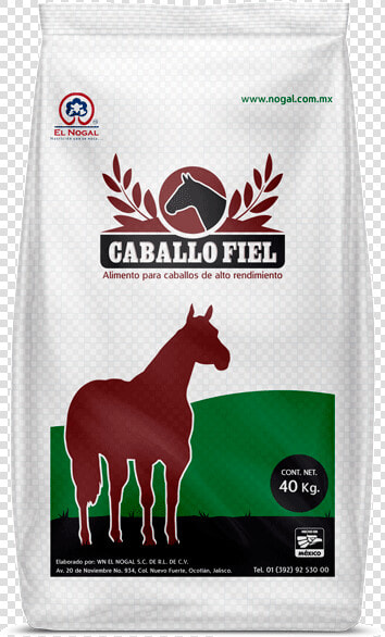 Caballo Fiel   Coyote  HD Png DownloadTransparent PNG