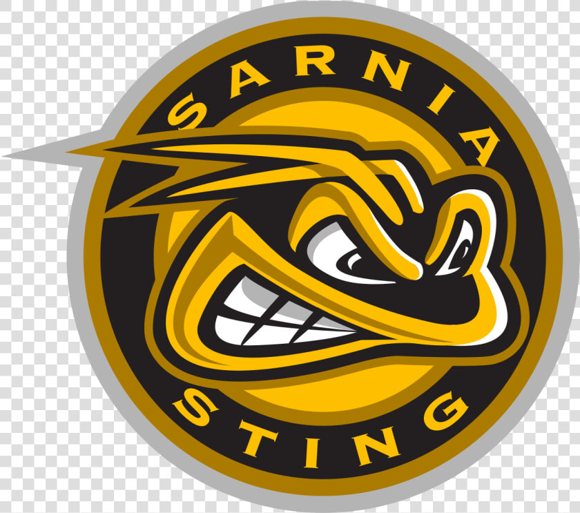 Sarnia Sting Logo   Bracknell Bees Logo  HD Png DownloadTransparent PNG