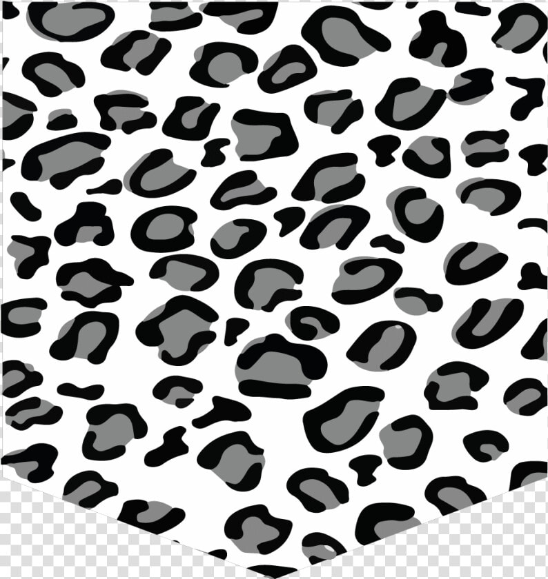 Snow Leopard Class Lazyload Lazyload Fade In Cloudzoom  HD Png DownloadTransparent PNG