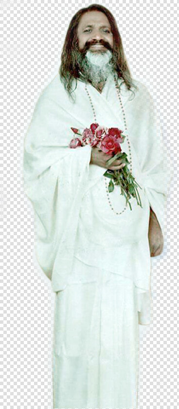 A Disciple Of His Divinity Swami Brahmananda Saraswati    Garden Roses  HD Png DownloadTransparent PNG