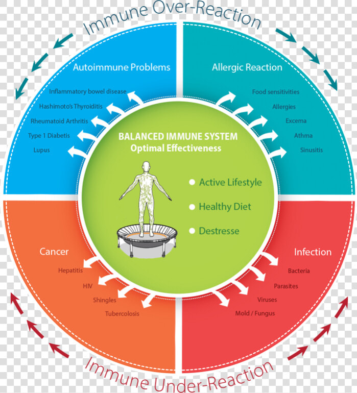 A Graphic Representation Of Immune Over Reaction And  HD Png DownloadTransparent PNG