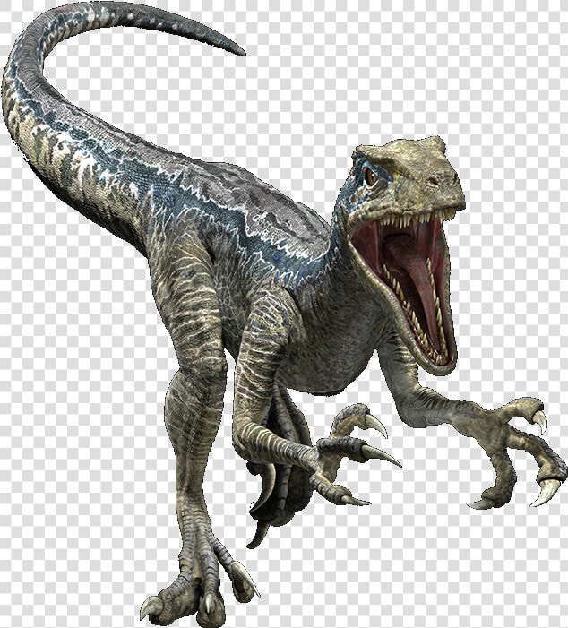 Transparent Dinosaur   Jurassic World Evolution Velociraptor  HD Png DownloadTransparent PNG