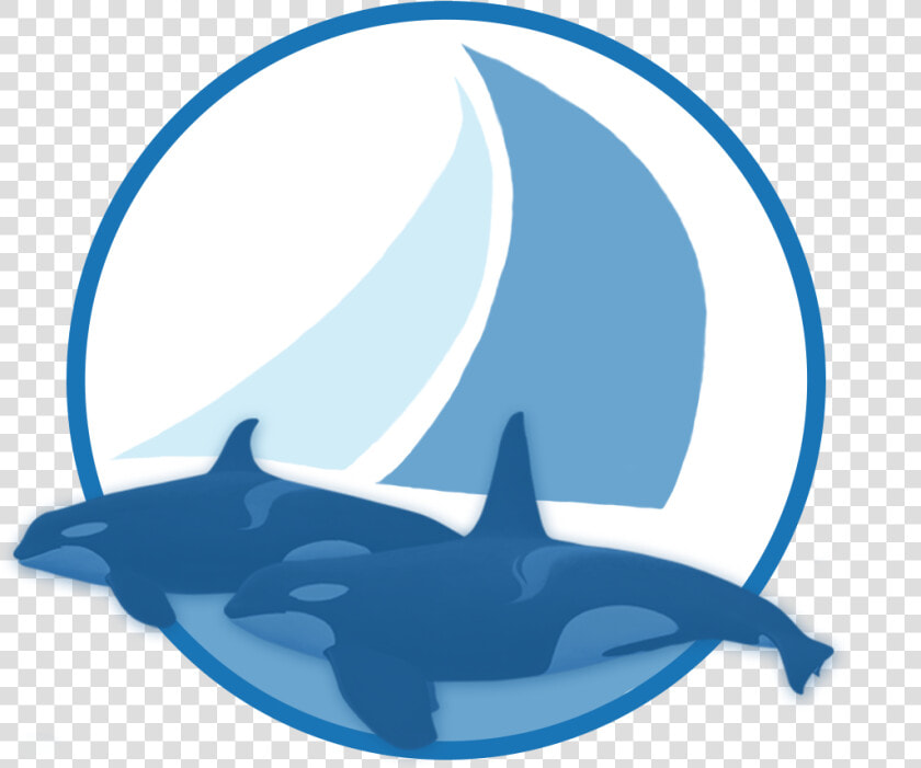 Sailing With Killer Whales  HD Png DownloadTransparent PNG