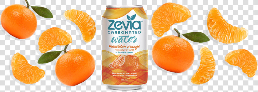 Zevia Sparkling Water  Blackberry   Rangpur  HD Png DownloadTransparent PNG