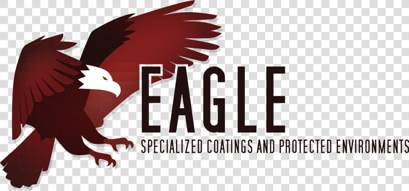 Transparent Bald Eagle Png   Red tailed Hawk  Png DownloadTransparent PNG