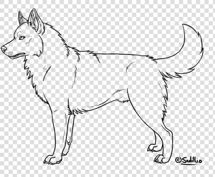 Realistic Clip Art Library   Husky Coloring Page  HD Png DownloadTransparent PNG