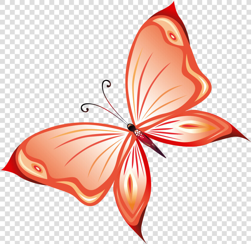 Transparent Red Butterfly Png Clipart   Pink Red And Yellow Butterfly  Png DownloadTransparent PNG