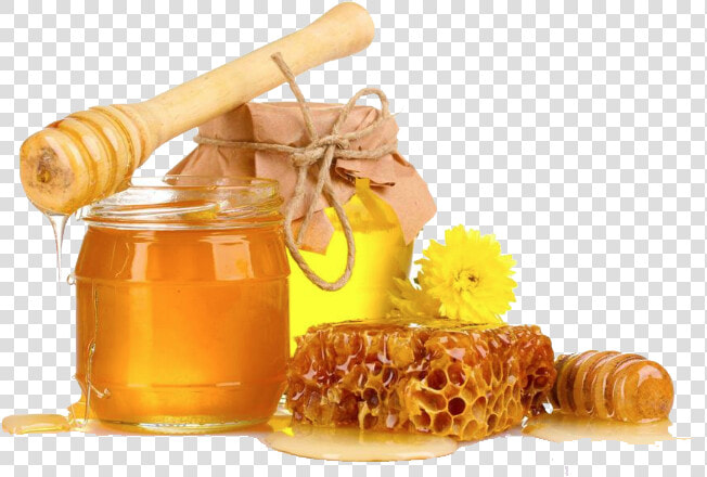 Download Honey Transparent Png For Designing Projects   Transparent Background Honey Png  Png DownloadTransparent PNG