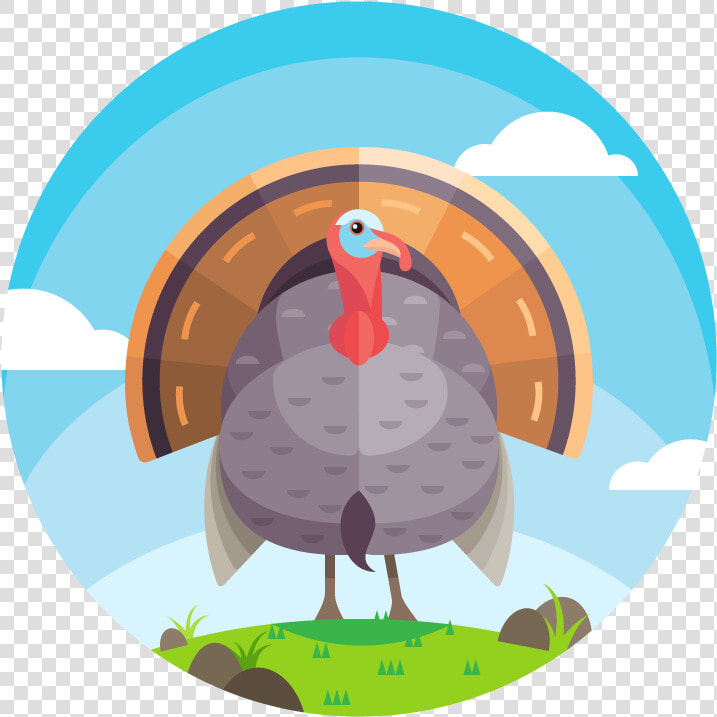 Beautiful Turkey Vector   وکتور لوگو بوقلمون  HD Png DownloadTransparent PNG