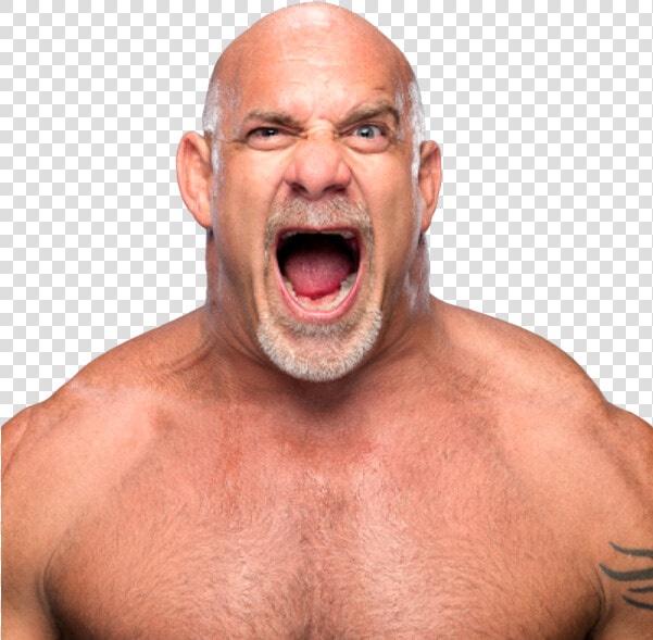 Bill Goldberg Png Transparent Background   Goldberg Png  Png DownloadTransparent PNG