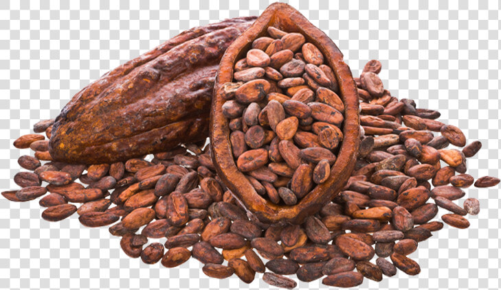 Cocoa Beans Png Image   Cacao File Png  Transparent PngTransparent PNG