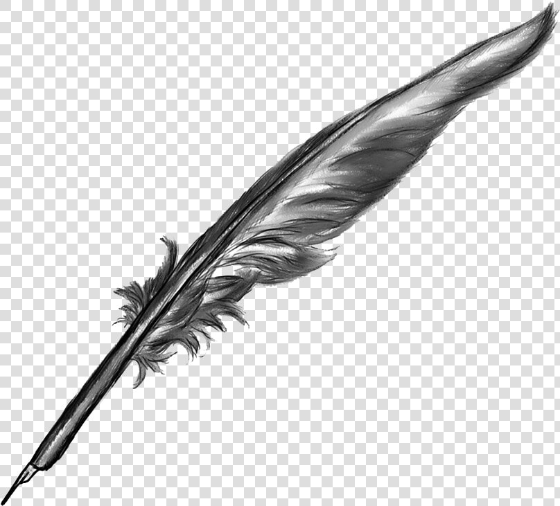 Transparent Fountain Pen Clipart   Feather Quill Pen Transparent Background  HD Png DownloadTransparent PNG