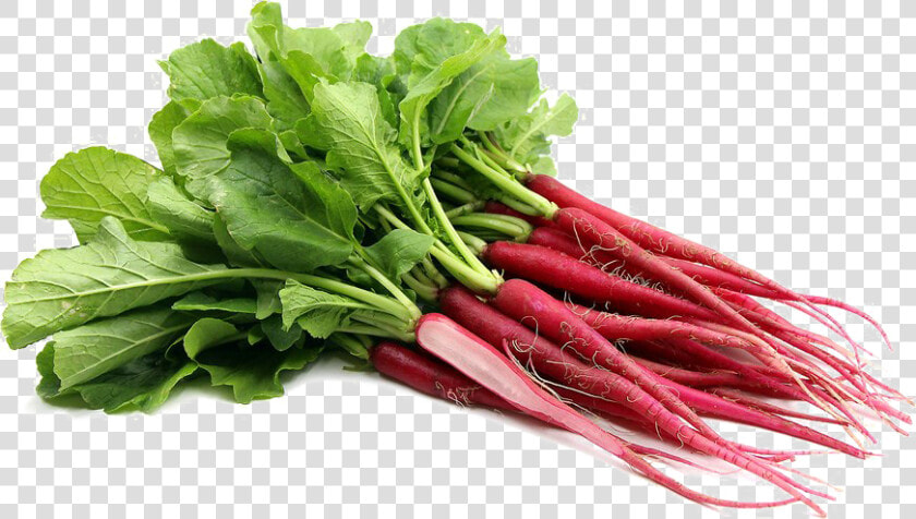 Transparent Radish Png   Long Thin Radishes  Png DownloadTransparent PNG