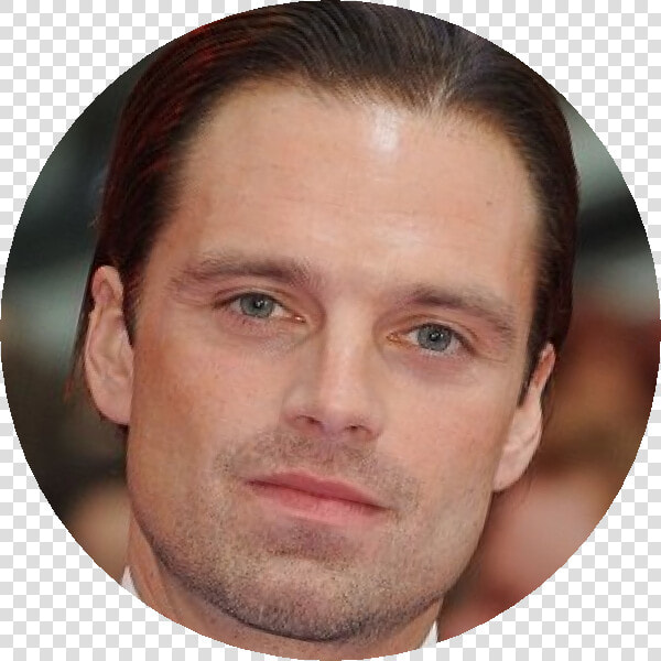 Sebastianstan   Buzz Cut  HD Png DownloadTransparent PNG