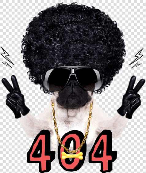 404   Крутой Мопс  HD Png DownloadTransparent PNG