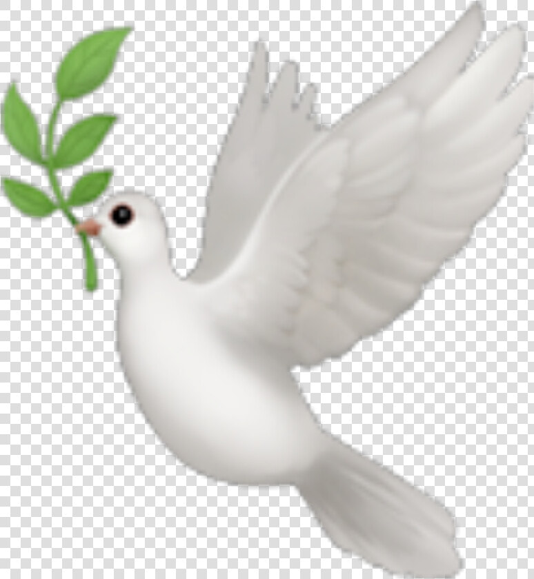  emoji  emojis  bird  dove   Emoji Bird  HD Png DownloadTransparent PNG