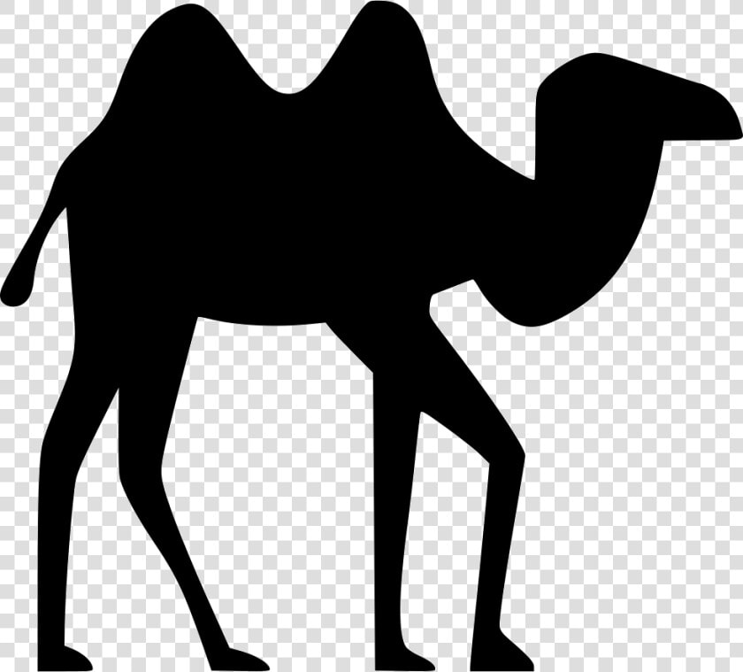 Clip Art Silhouette Dromedary Computer Icons Image   Arabian Camel  HD Png DownloadTransparent PNG