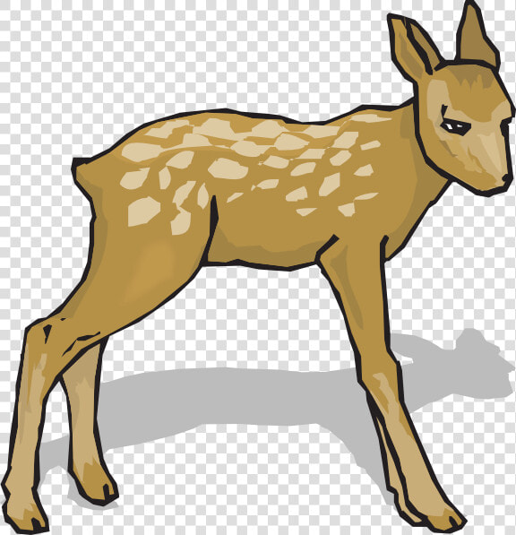 Suspicious Fawn Svg Clip Arts   Deer Do Re Mi Song  HD Png DownloadTransparent PNG