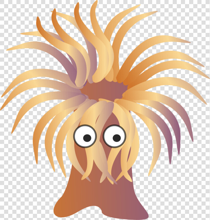 Sea Anemone Clipart  HD Png DownloadTransparent PNG